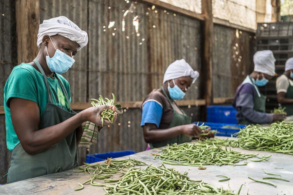 51584529057_f3113e09e6_k